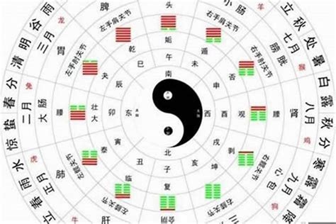 如何衝破天羅地網宮|八字神煞解析——天羅地網